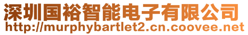 深圳國裕智能電子有限公司