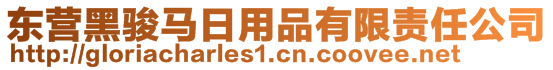 東營黑駿馬日用品有限責任公司