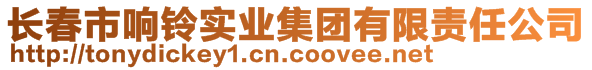 長春市響鈴實業(yè)集團有限責(zé)任公司