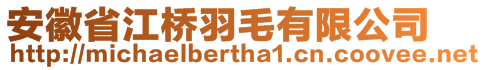 安徽省江橋羽毛有限公司