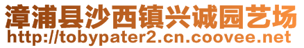 漳浦縣沙西鎮(zhèn)興誠園藝場