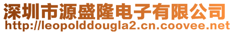 深圳市源盛隆電子有限公司