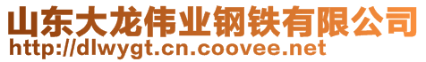 山东大龙伟业钢铁有限公司