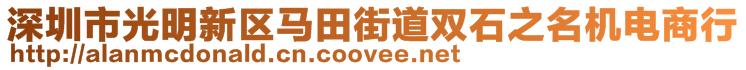 深圳市光明新區(qū)馬田街道雙石之名機(jī)電商行