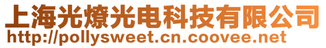 上海光燎光電科技有限公司