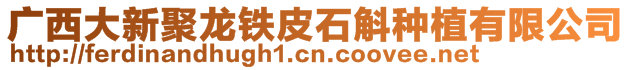 廣西大新聚龍鐵皮石斛種植有限公司