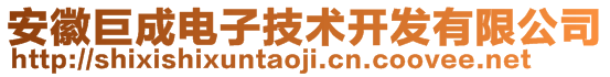 安徽巨成電子技術(shù)開發(fā)有限公司