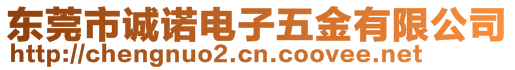 东莞市诚诺电子五金有限公司