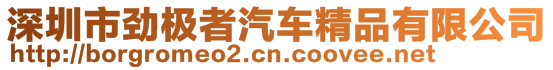 深圳市勁極者汽車精品有限公司