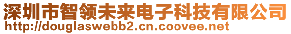 深圳市智領(lǐng)未來電子科技有限公司