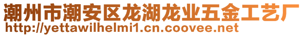 潮州市潮安區(qū)龍湖龍業(yè)五金工藝廠