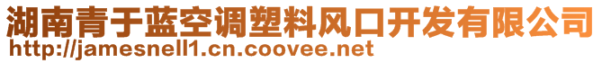 湖南青于藍(lán)空調(diào)塑料風(fēng)口開發(fā)有限公司