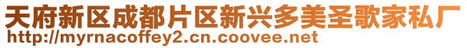 天府新區成都片區新興多美圣歌家私廠