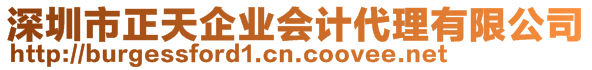 深圳市正天企業(yè)會計代理有限公司