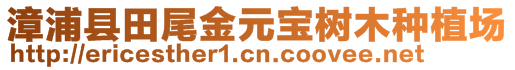 漳浦縣田尾金元寶樹木種植場