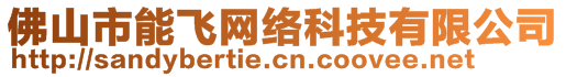 佛山市能飛網(wǎng)絡(luò)科技有限公司