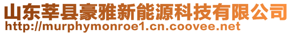 山東莘縣豪雅新能源科技有限公司