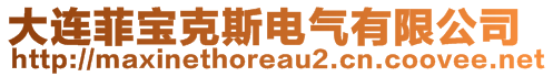 大連菲寶克斯電氣有限公司