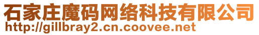 石家莊魔碼網絡科技有限公司