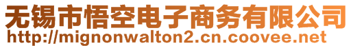 無錫市悟空電子商務有限公司