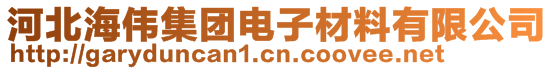 河北海偉集團(tuán)電子材料有限公司