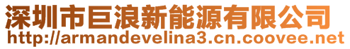深圳市巨浪新能源有限公司