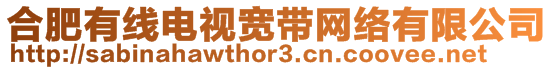 合肥有線電視寬帶網(wǎng)絡(luò)有限公司