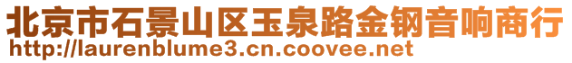 北京市石景山区玉泉路金钢音响商行