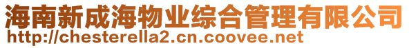 海南新成海物业综合管理有限公司