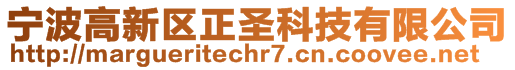 寧波高新區(qū)正圣科技有限公司