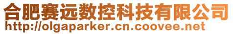 合肥賽遠(yuǎn)數(shù)控科技有限公司