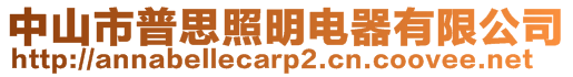 中山市普思照明電器有限公司