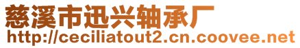 慈溪市迅興軸承廠