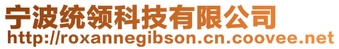 寧波統(tǒng)領(lǐng)科技有限公司