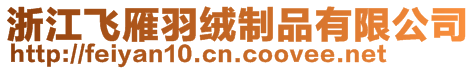 浙江飛雁羽絨制品有限公司