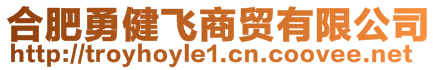 合肥勇健飛商貿(mào)有限公司