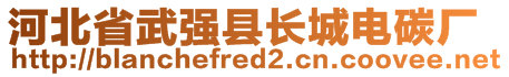 河北省武强县长城电碳厂