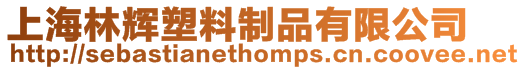 上海林輝塑料制品有限公司