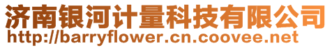 濟南銀河計量科技有限公司