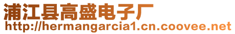 浦江縣高盛電子廠