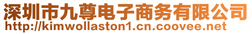 深圳市九尊電子商務(wù)有限公司