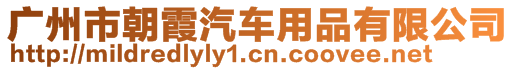 廣州市朝霞汽車用品有限公司