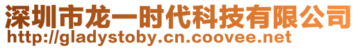 深圳市龍一時代科技有限公司