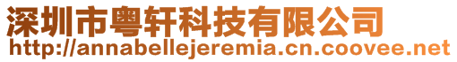深圳市粵軒科技有限公司