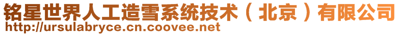 銘星世界人工造雪系統(tǒng)技術(shù)(北京)有限公司