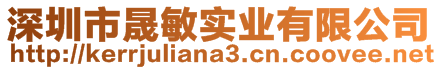 深圳市晟敏實(shí)業(yè)有限公司