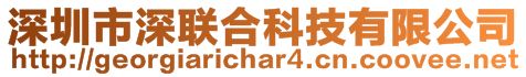 深圳市深聯合科技有限公司