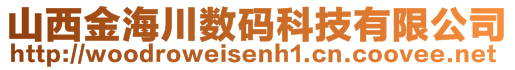 山西金海川數(shù)碼科技有限公司