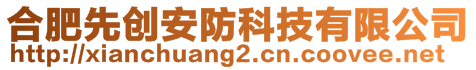 合肥先创安防科技有限公司