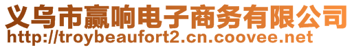 义乌市赢响电子商务有限公司